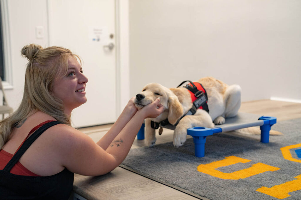 Margate Therapy Dog