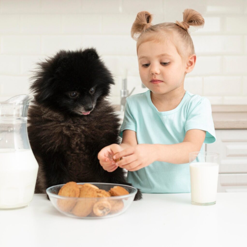 Can Dogs Eat Chickpeas & Sunflower Seeds What About Mustard