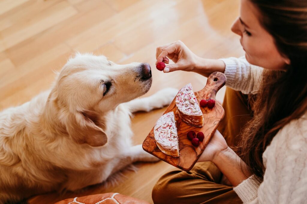 Can Dogs Eat Dragon Fruit, Mandarins, Pancakes