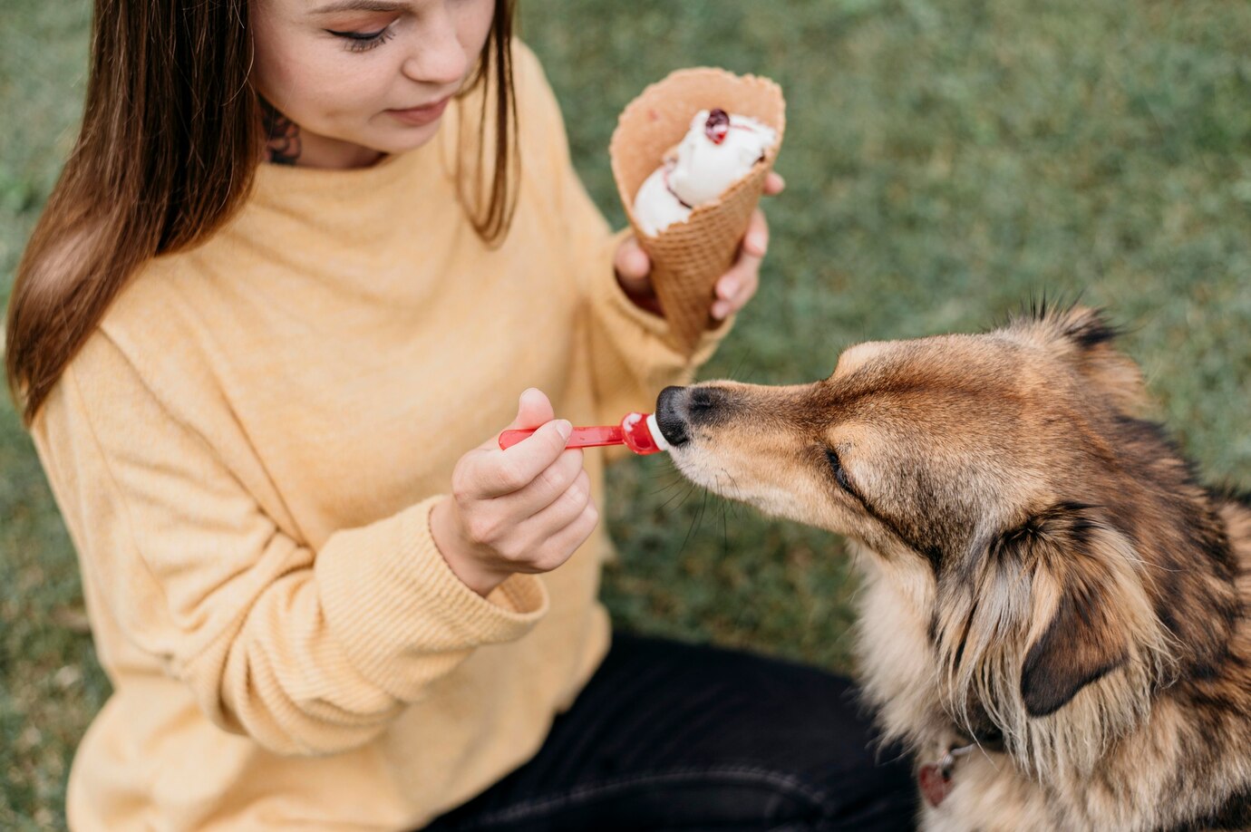 Can Dogs Eat Eggplant, Okra, Salami,