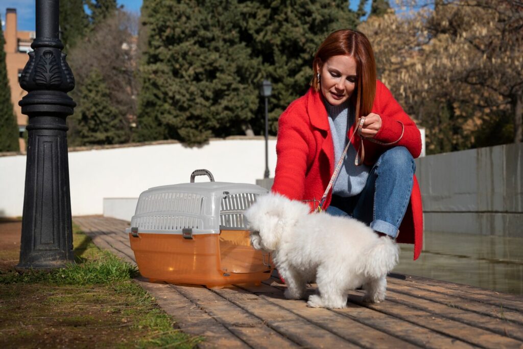 Crate Training Your Dog