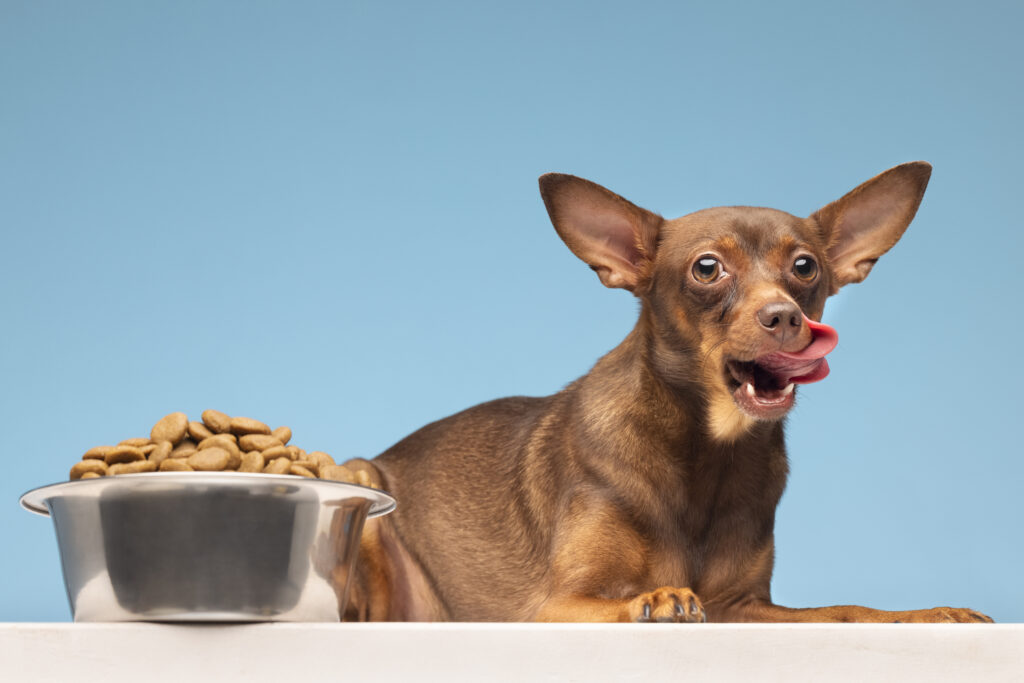 Dogs Eat Chickpeas,