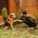 This is how you can Understand your Dog’s Body Language