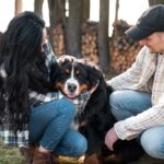 Training Tips for Adopted Dogs