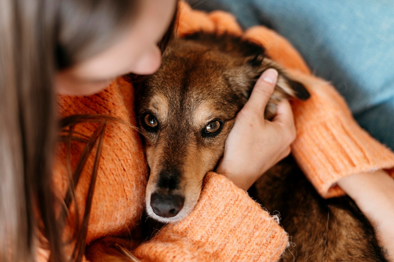 early signs of common canine illnesses